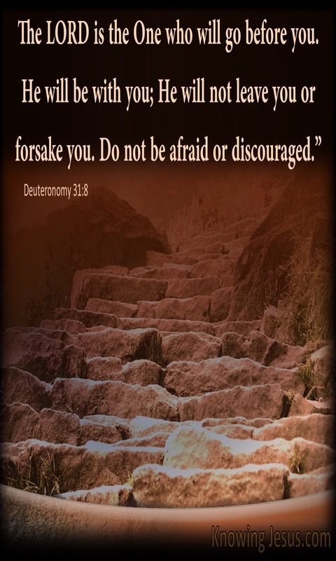 Deuteronomy 31:8 The Lord Go Before You (brown)